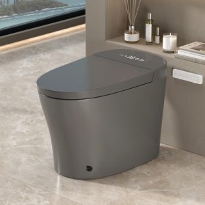 Smart Toilet with Bidet Built in, ADA One-Piece Toilet Auto Open/Close & Flush, Heated Seat, Front & Rear Wash, LED Display, Night Light, 12-inch Rough-in (Matte Grey)