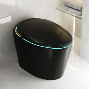Unique Smart Toile, One Piece Toilet with Bidet Built In,Auto Open/Close Seat, Foot Sensor, LED Display,Night Light, Warm Water & Dryer,black