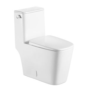One-Piece Toilet, 1.1/1.60 GPF Water-Efficient Dual-Flush Elongated Comfort Height Floor Mounted, Standard-Size Toilet with Soft Closing Seat Included
