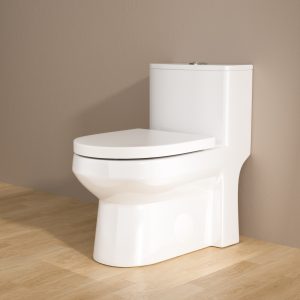 CE,CUPC,DOE Soft Closing Seat Concealed Tank Elongated Bowl Floor Mounted Installation Ceramic One-Piece Toilet
