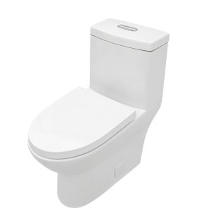 Dual Washdown S-Trap Siphon Flushing One-Piece Floor Mounted Elongated Ceramic One Piece Toilet