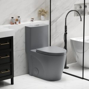 1.1/1.6 GPF Tornado Flush One-Piece Toilet for bathrooms,Siphonic S-trap 12",Elongated Bowl with Soft Close Seat,Powerful Dual Flush MAP 1000g,Comfort Chair Seat ADA Height 17", Light gray ,Pink,White,Black
