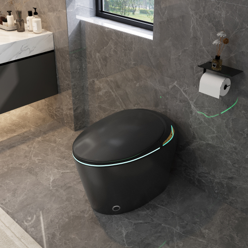 Unique Smart Toile, One Piece Toilet with Bidet Built In,Auto Open/Close Seat, Foot Sensor, LED Display,Night Light, Warm Water & Dryer,black - Image 10
